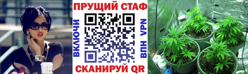 Все наркотики Фатеж COCAIN Меф мяу мяу A-PVP Псилоцибиновые грибы Гашиш Бошки Шишки
