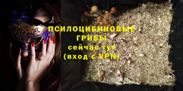 прущий лед Алзамай