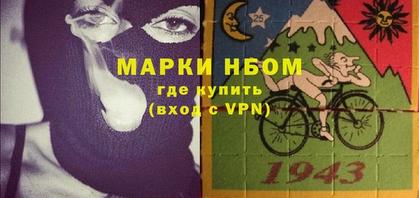 индика Каменногорск