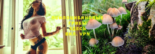 прущий лед Алзамай
