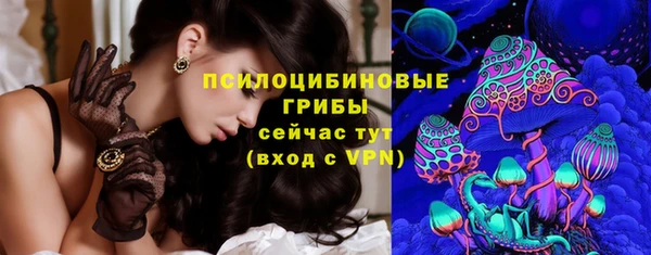 прущий лед Алзамай