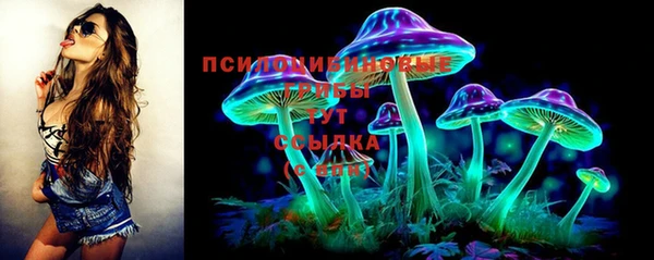 прущий лед Алзамай