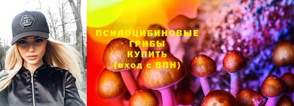 гидропоника Алексеевка