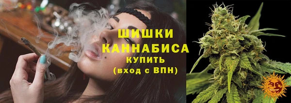 гидра Каменка