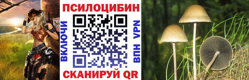 kraken ТОР  Фатеж  Галлюциногенные грибы MAGIC MUSHROOMS 